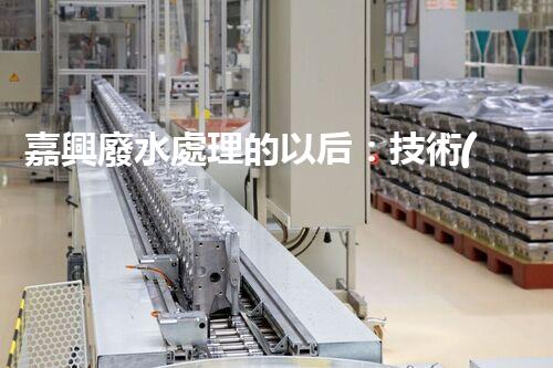 嘉興廢水處理的以后：技術(shù)創(chuàng)新與生態(tài)可持續(xù)？